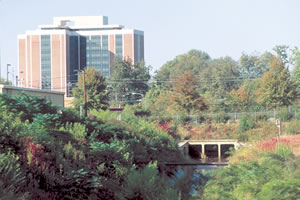 The Flint River begins near here in a drainage ditch that catches runoff from the base of the world’s busiest airport. 